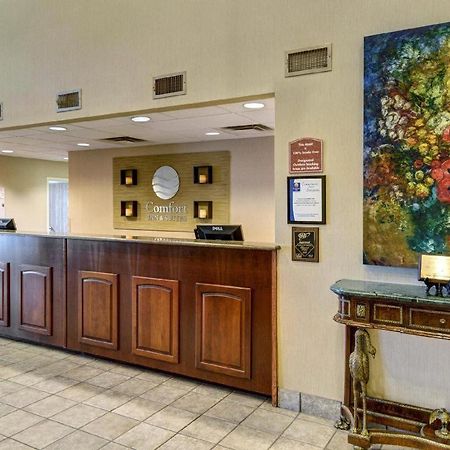 Comfort Inn & Suites Hot Springs Central Extérieur photo